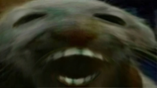 Miroslav tweet media