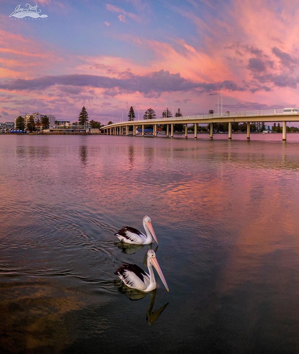 Sunrise this morning at The Entrance Channel which is not too far from home 😊
