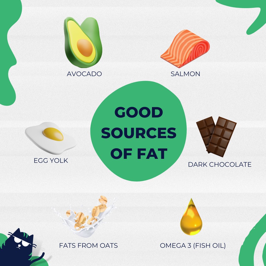 Better sources of fat that you can take.
#coachcatalyst #onlinefitnesscoach #onlinefitnesscoaching #onlinepersonaltrainer #onlinepersonaltraining #onlinefitness #fitness #fitnesscoach #fitnesslife #workout #workouttips #workoutdaily #exercise #exercisetips #coachingtips