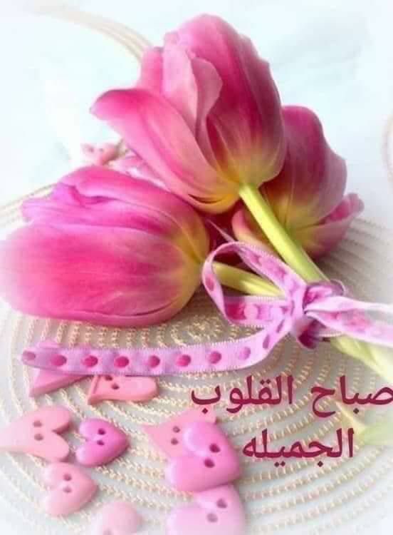 لا تصمت عن قول الحق 

مهما كان مراً ،فعندما تضع لجاماً  في فمك 

سيضعون سرجاً على ظهرك ..💞

#صباح_الورد