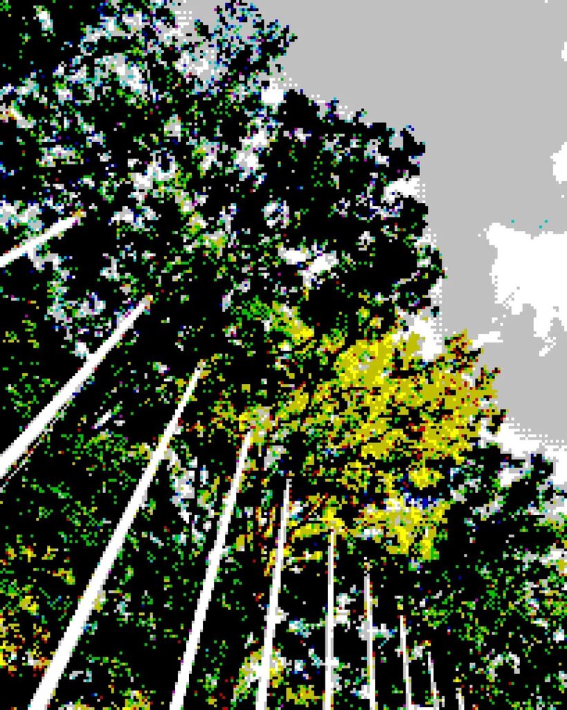 8bitsights's tweet photo. Stage 🌲-3: Forest Prominence
A tree, kissed by the sun
.
.
.
#♣️_♣️
#8bitSights #eightbitsights #eightbit #pixels #pixelled #filter #oldtech #rom #videogame #retro #retroart #gameboy #cinematic #8BitPhotoLab #low-pixels #nes #snes #8bit #dotmatrix #d… https://t.co/p5ntShI5uE https://t.co/mm0I7K2daX