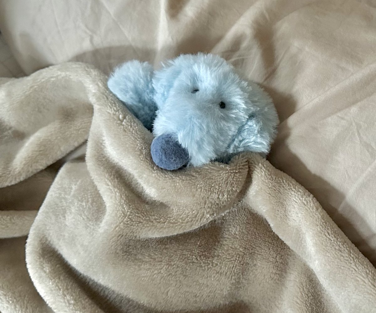 空想アパートメント 冬毛のサーモン ぬいぐるみ 毛が生えかわった「冬毛のサーモン」がモフモフ！ ぬいぐるみ作家の