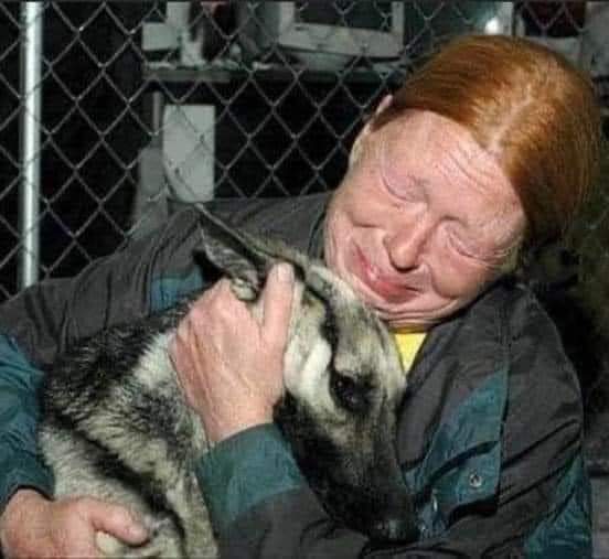 angie_karan's tweet photo. An elderly lady went to the shelter to adopt a dog. As she was looking into the kennels, a dog sleeping in the corner stood up and looked up to her. Their gaze met, and at that moment, they knew they both found a friend, a companion and someone to love.❤ https://t.co/hg3e4Hh8RM