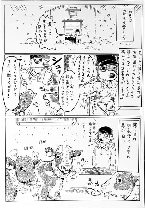 『雪が多かった12月と今』

ただの字が汚い雑な酪農日記。 