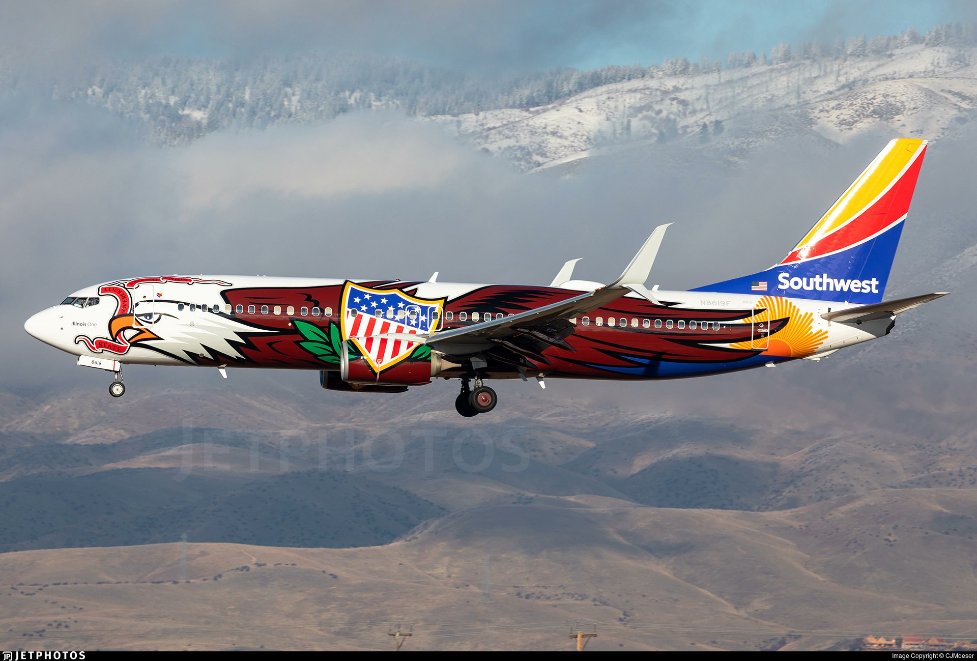 Southwest Boeing 737-800 N8619F Illinois One NG Model 58161