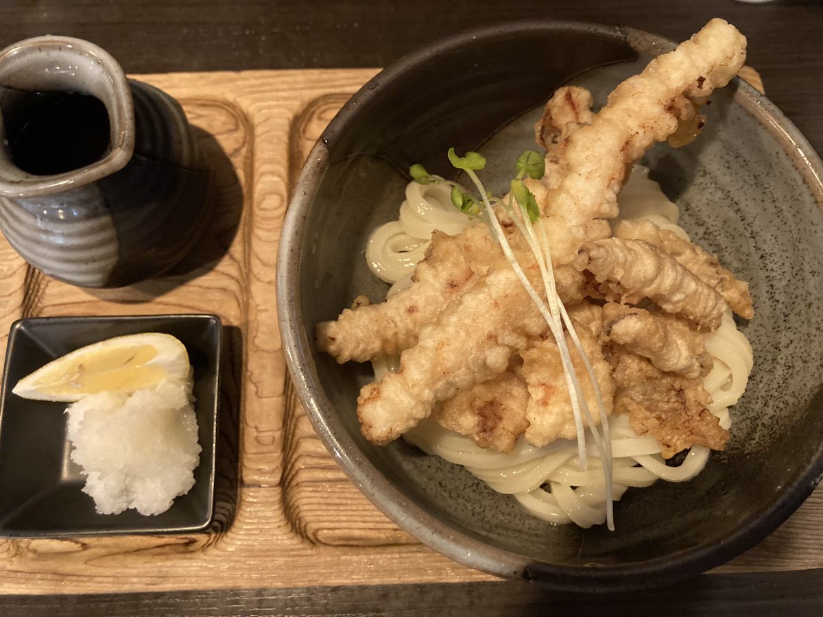 ry54571's tweet photo. お次は手打ちうどん渡辺丸亀にて、焼きいか天おろしぶっかけをいただきました。

この麺好きですねぇ😀小麦の甘みが存分に感じられ、自分の脳が喜んでいた。

焼きいか天も柔らかくていいですね。 https://t.co/qAuHHgZ1aN