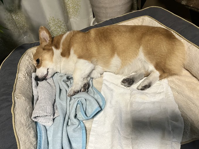 おはようございます。 