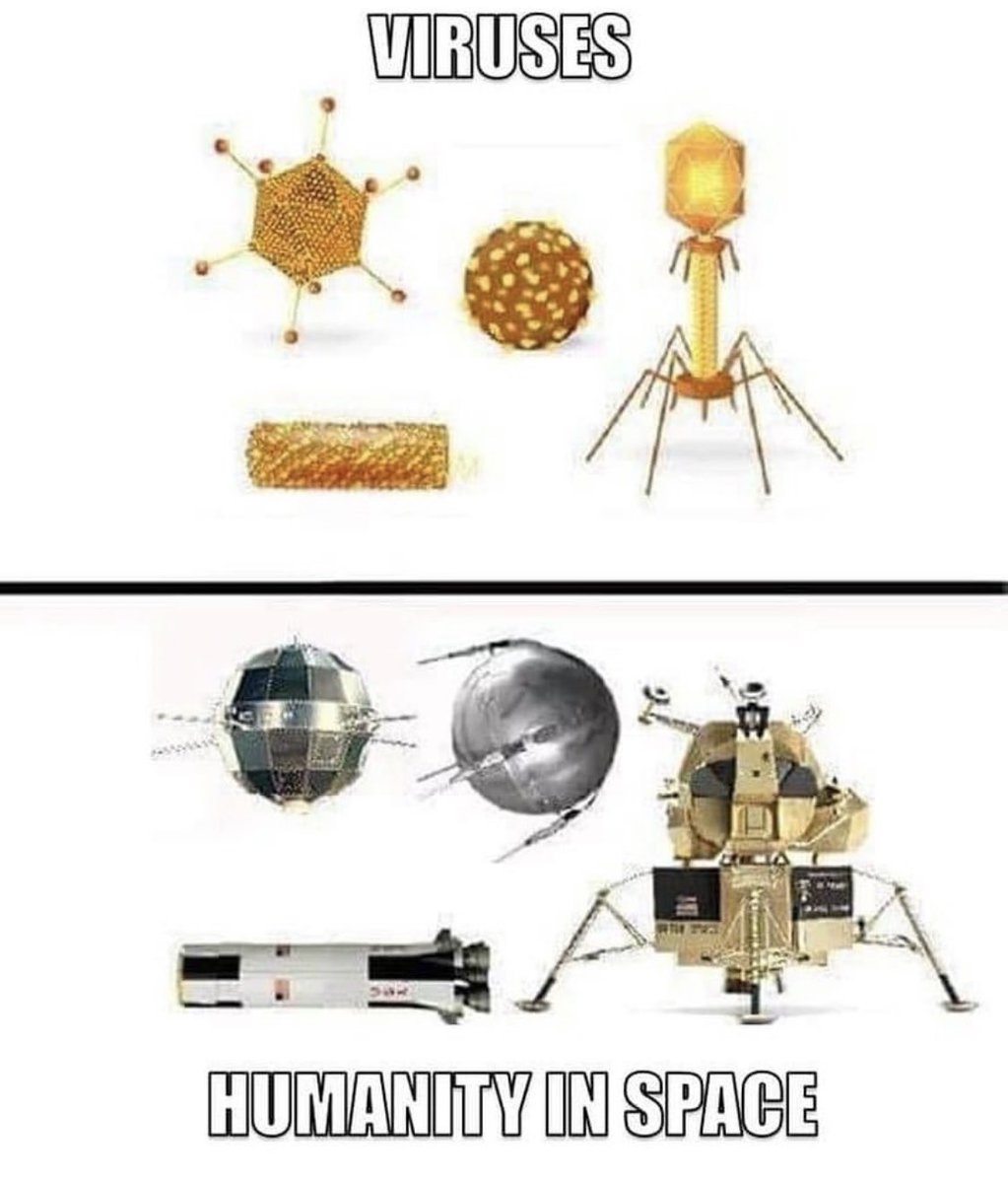 TheRealNomics's tweet photo. Tfw u realize #globalwarming is really a fractal of π getting fever in response 2 a π¦ which makes the environment inhospitable 4 the disease so all the era of #Spacecash really means is Mars is next π²ππΈππ https://t.co/xukv2fHWUb