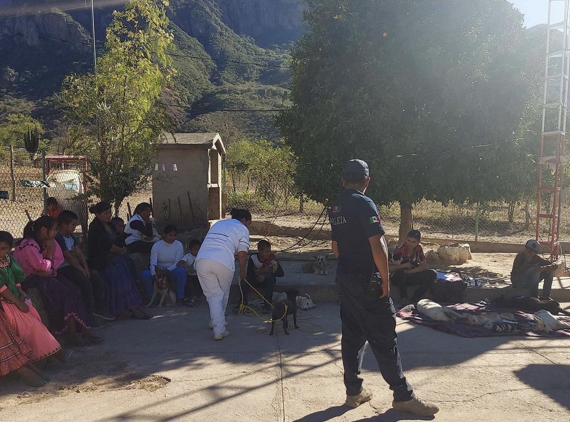 CompassionCopp1's tweet photo. We split our team today between Batapilas and Mesa de la Yerba buena, 53 total spay and neuters https://t.co/r4K9KFDNkM