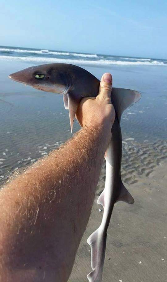 THEE Discowitch Fellina 🏳️‍🌈🏳️‍⚧️🇨🇦🇺🇸🇺🇦 tweet media