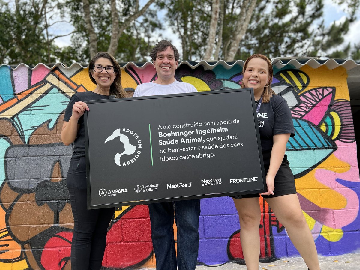 Instituto Ampara Animal tweet media