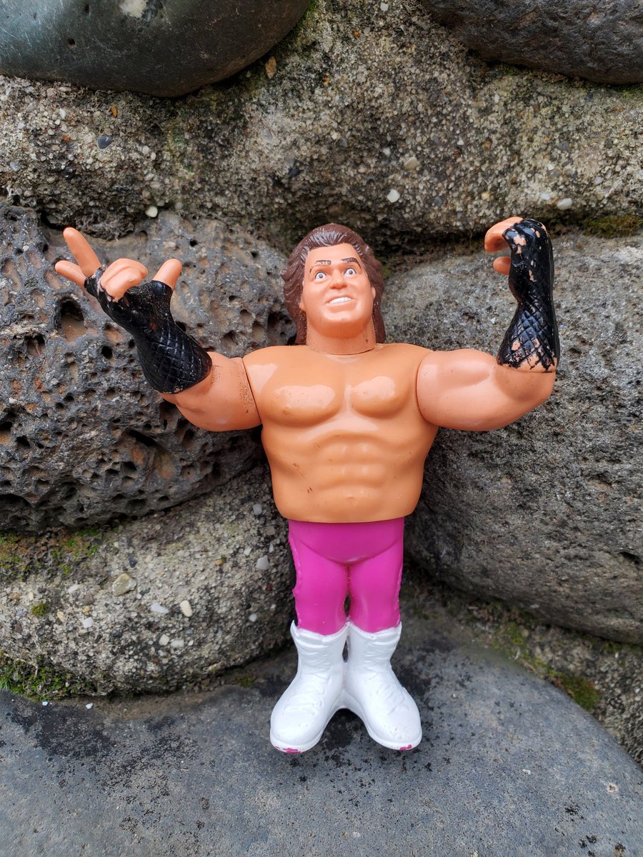 @DiegoCali14 Mention 'Diego' or 'Go 49ers!' on this $80 Sale & you can add a Brutus Beefcake Hasbro for 49 cents to the order. $80.49 for 8 LJNs & a Brutus Beefcake Hasbro with shipping