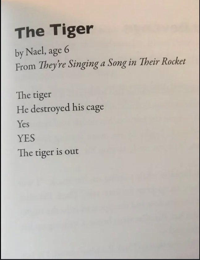 haleyyeileen's tweet image. incredible