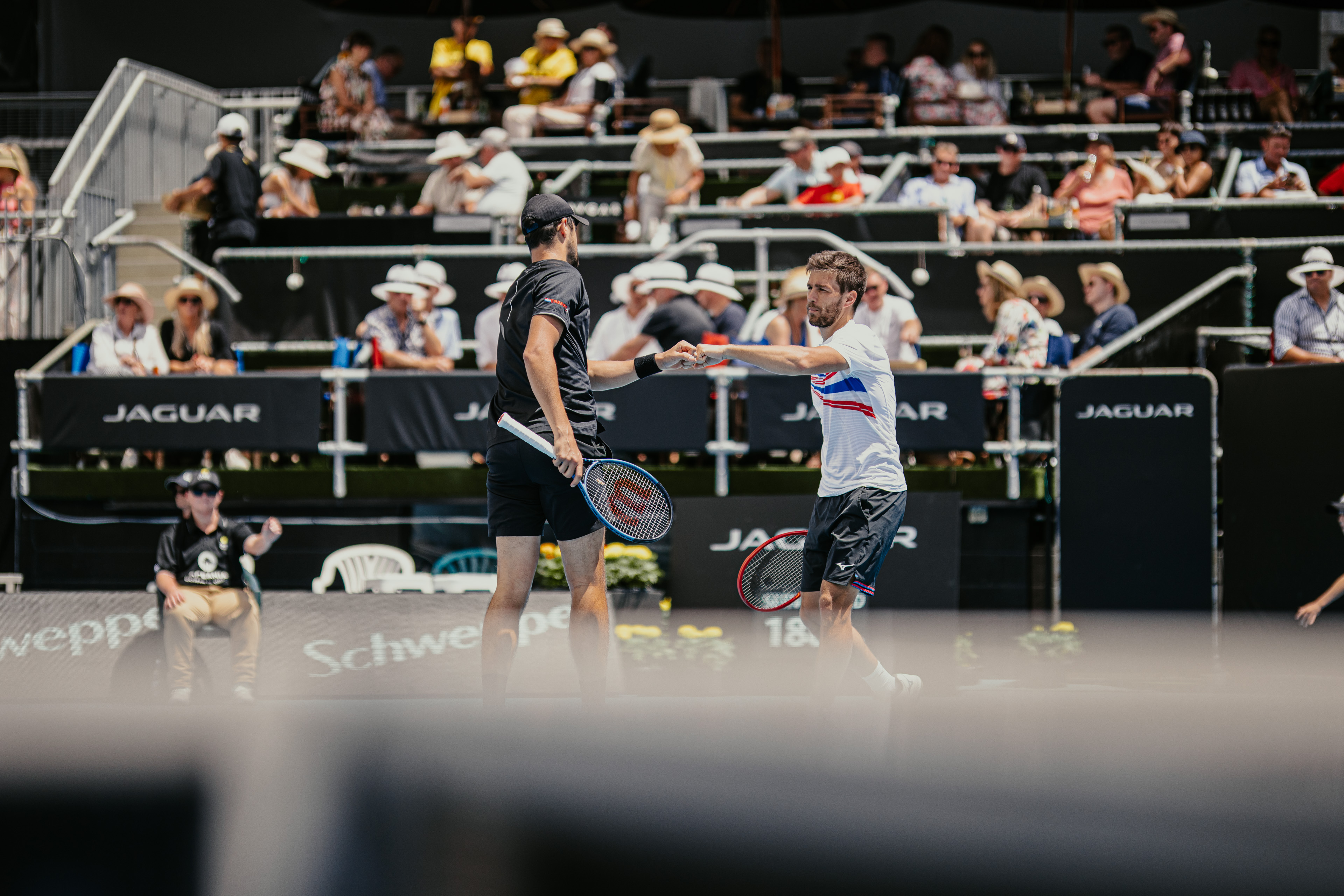 Asb Classic 2025 Tennis Action Hits Auckland News Dynamics