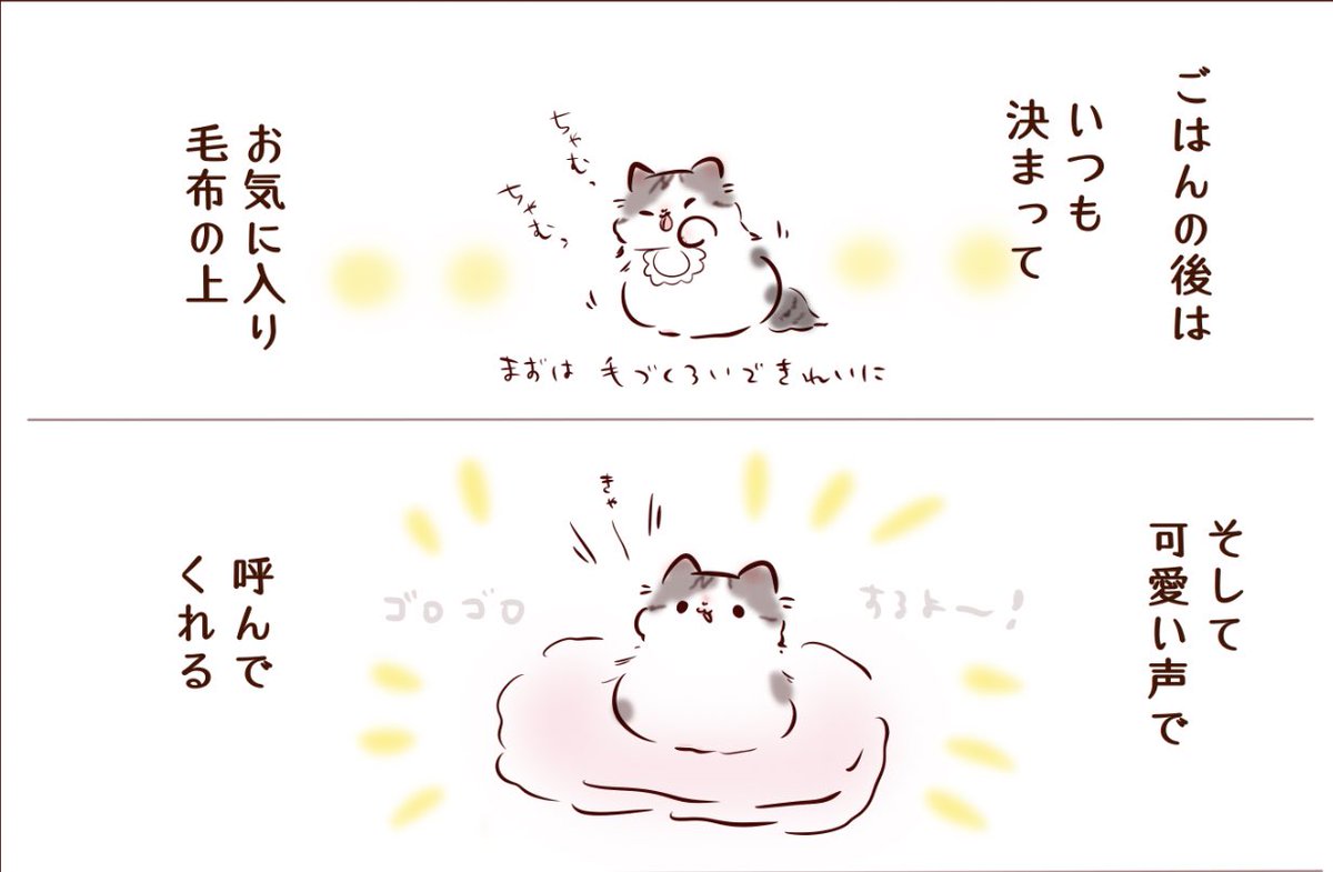 りりちゃんの甘え方(食後のブラッシング編)
#note https://t.co/LAv7otYRKW
※可愛いりりちゃんオンリーの上2コマ
続きはnoteに…(可愛いりりちゃんが…!?)
#愛猫りりぽぽ日記