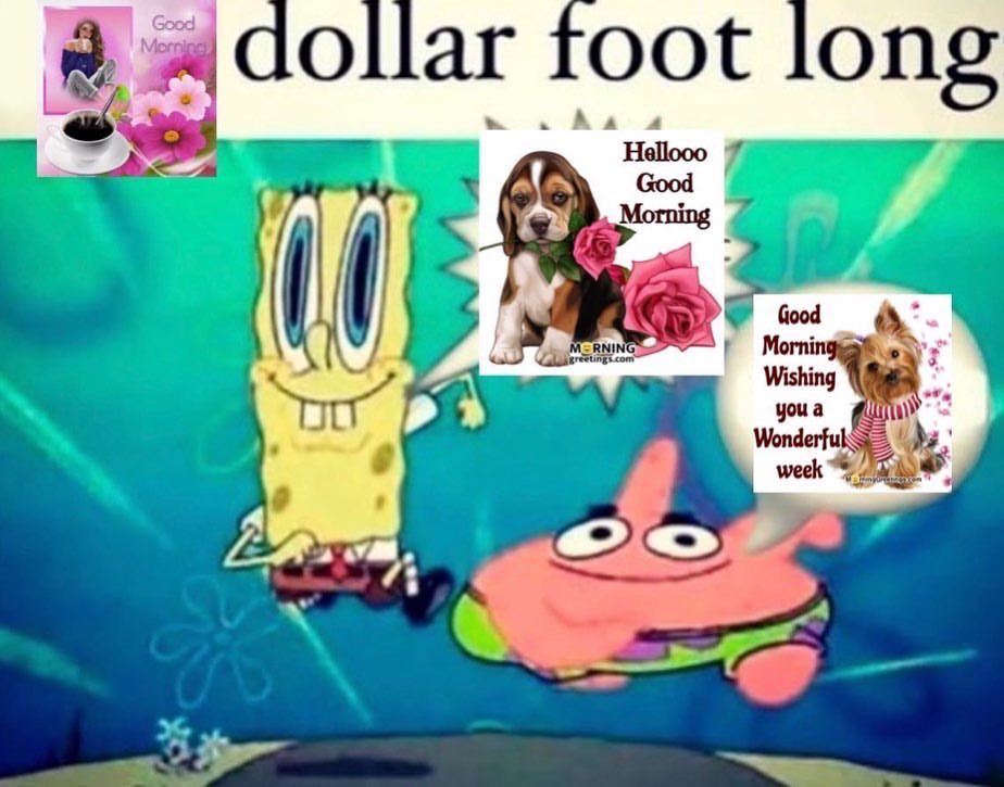 julia ᵕ̈ 🪲 tweet media