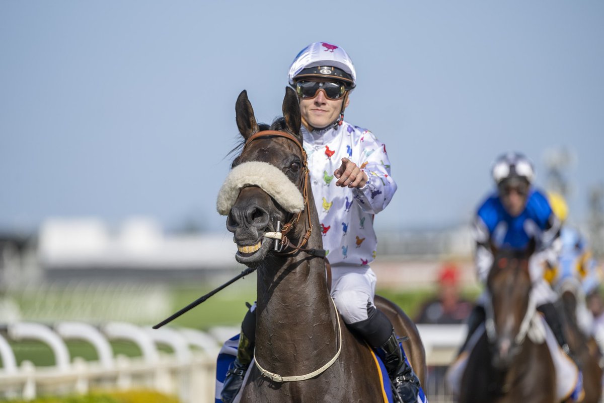 No matter the outcome this afternoon, never in our wildest dreams did we think buying into an 8YO Emerald Kingdom in the twilight of his career would lead us to a million-dollar race on @mmsnippets day. Go well, son! #MMGC2023 #QLDisRacing 🏇🏽