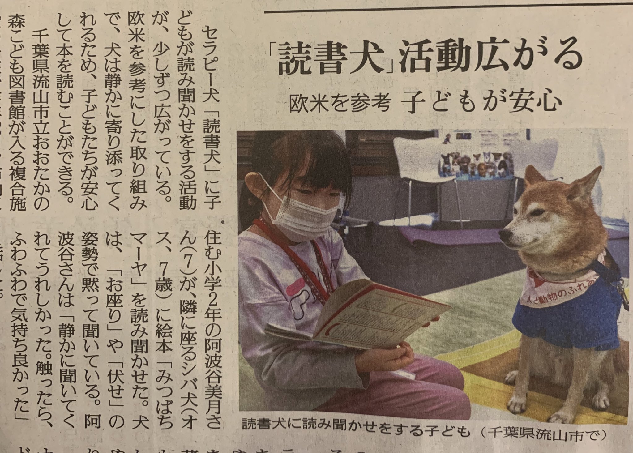 新聞に掲載されていた!セラピー犬「読書犬」の活動!