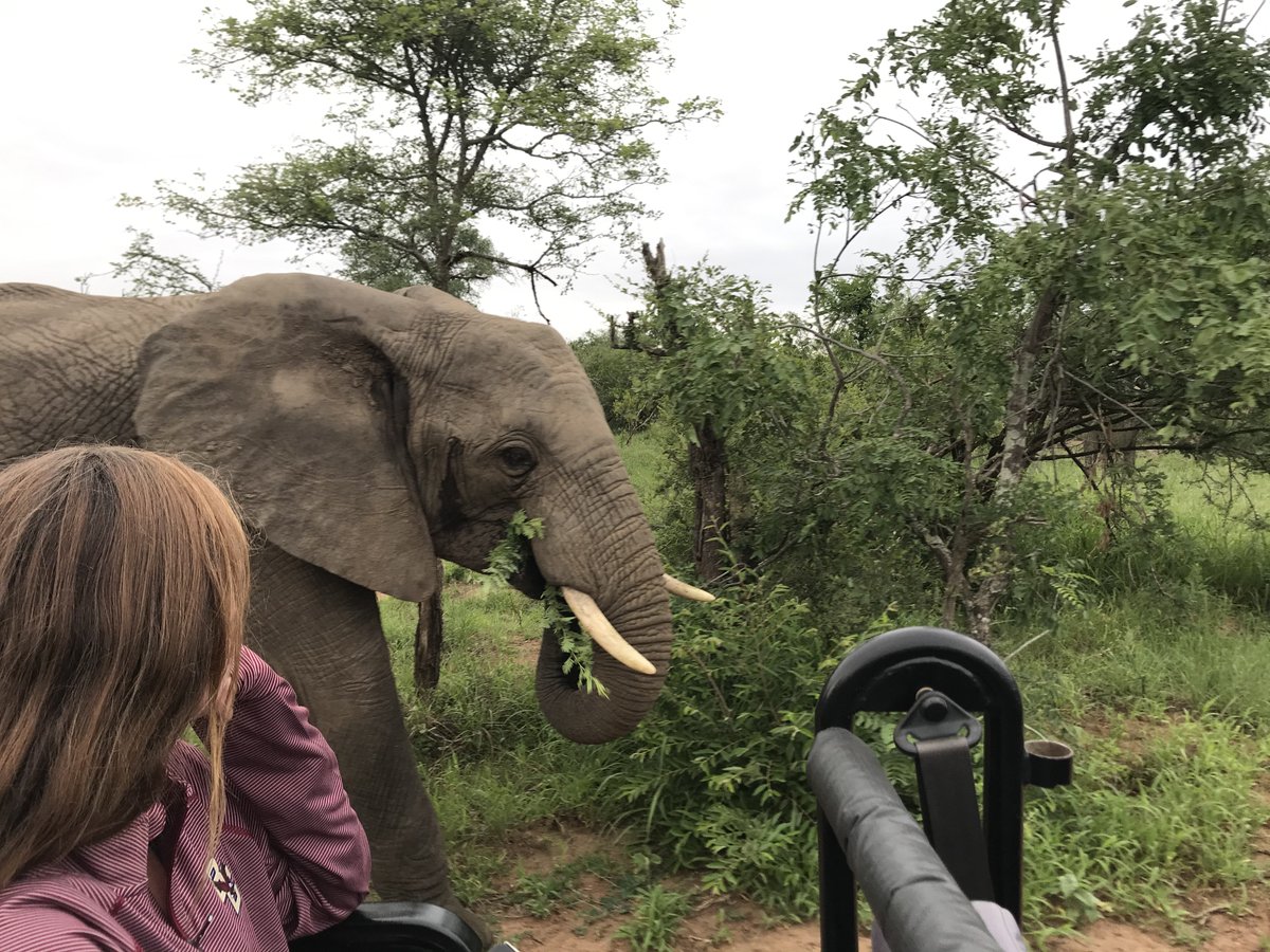 Hope we can preserve this beautiful reserve and all the animals. Especially the amazing elephants I met in South Africa! <a href="/GlobalElephants/">Global Sanctuary for Elephants</a>  #savetheelephants #illegalgamehunting