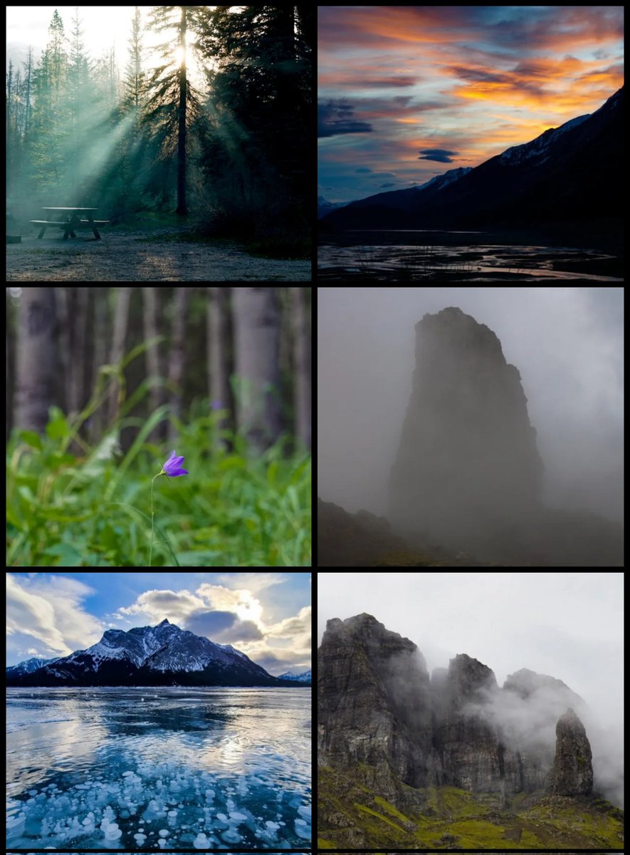 marlainetegart's tweet photo. I am pleased to announce that I have finally minted a new collection of editons on @opensea called "Untamed Wilds" (like me 😉). This collection holds some of my favorite moments. Link 👇 https://t.co/ZS6ujoax9G
