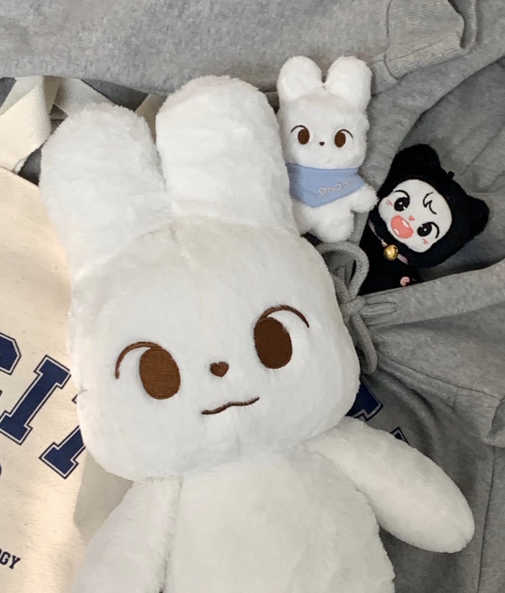 go_doyoung's tweet photo. DODO共同購入です🐰
@KIMDo0oD

🐰DODOⅡ
🐰Do Meow 
🐰DODO 50cm

必ず入金してからフォームに記入して下さい！
1/29までです！

🐰https://t.co/QV7GnFRU2P https://t.co/dNnEqsgDla
