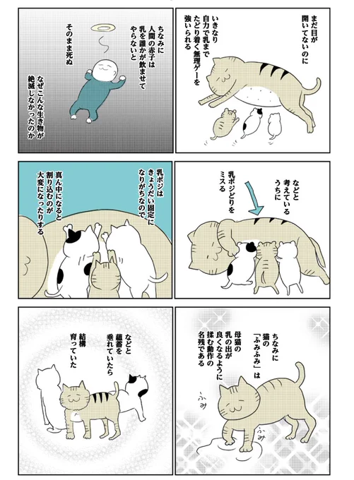 可愛い子猫マンガだよ 