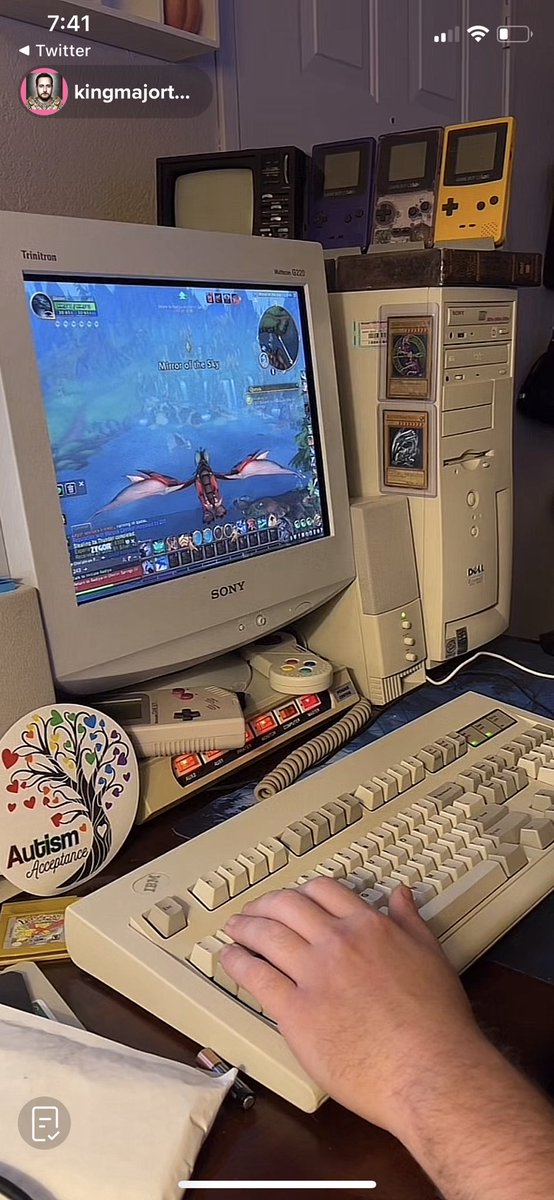 cheersitskatie's tweet photo. when my friends ask if they need an expensive setup to play WoW i'm just gonna show them this screenshot https://t.co/Qt17oiPkWe