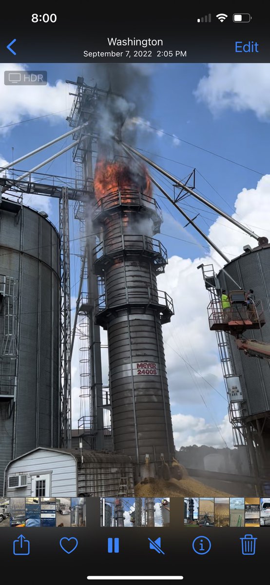 Todd Boyd tweet media