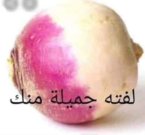 elmo3alem's tweet photo. @News_Ejazah https://t.co/dGLRDfKISX