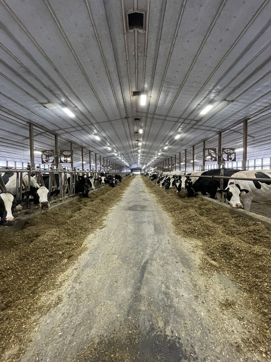 meghan_glavin's tweet photo. We visited another three amazing farms today! Thanks Sunypoint, Jordyhill and Kalverboer farms for giving us great tours! @UofGDairy #aggiesgoeast https://t.co/TpqCfBLb8q