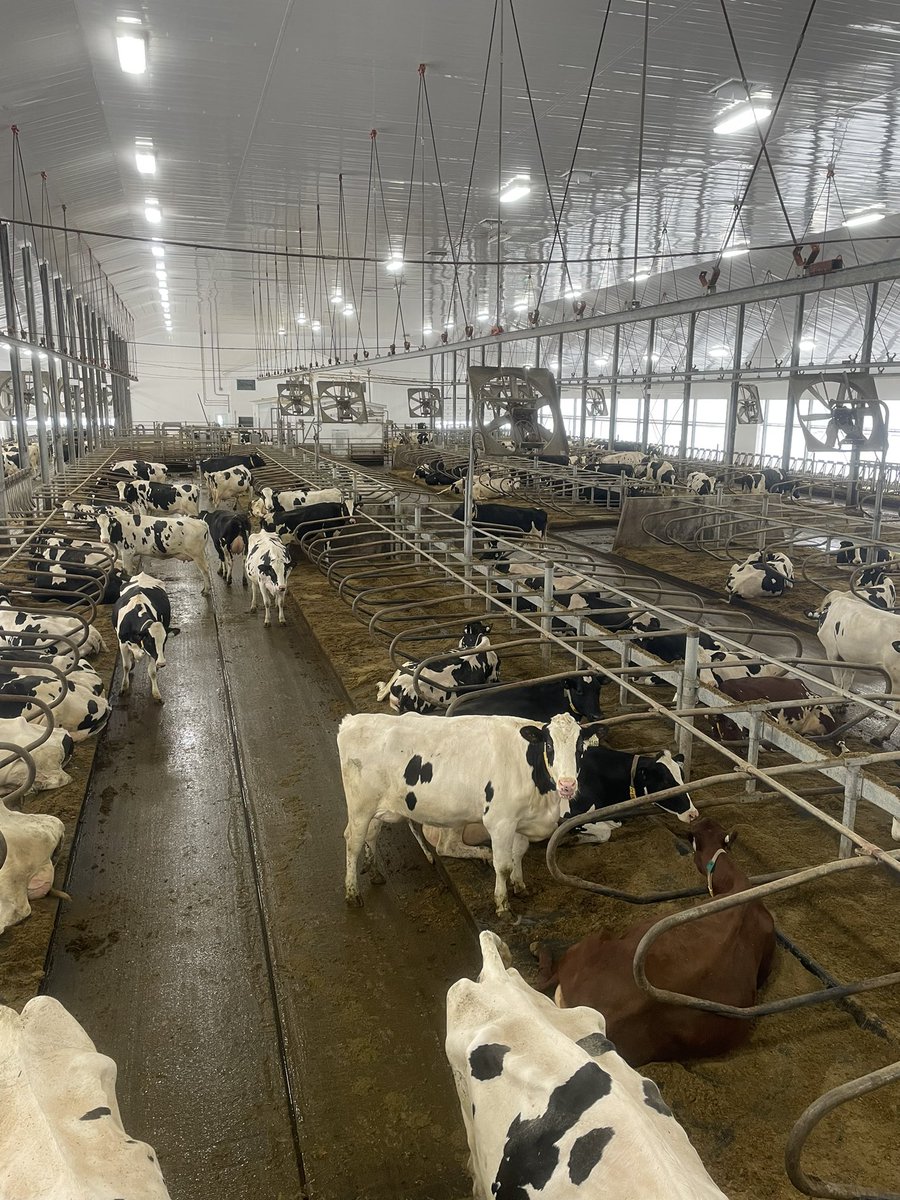 meghan_glavin's tweet photo. We visited another three amazing farms today! Thanks Sunypoint, Jordyhill and Kalverboer farms for giving us great tours! @UofGDairy #aggiesgoeast https://t.co/TpqCfBLb8q
