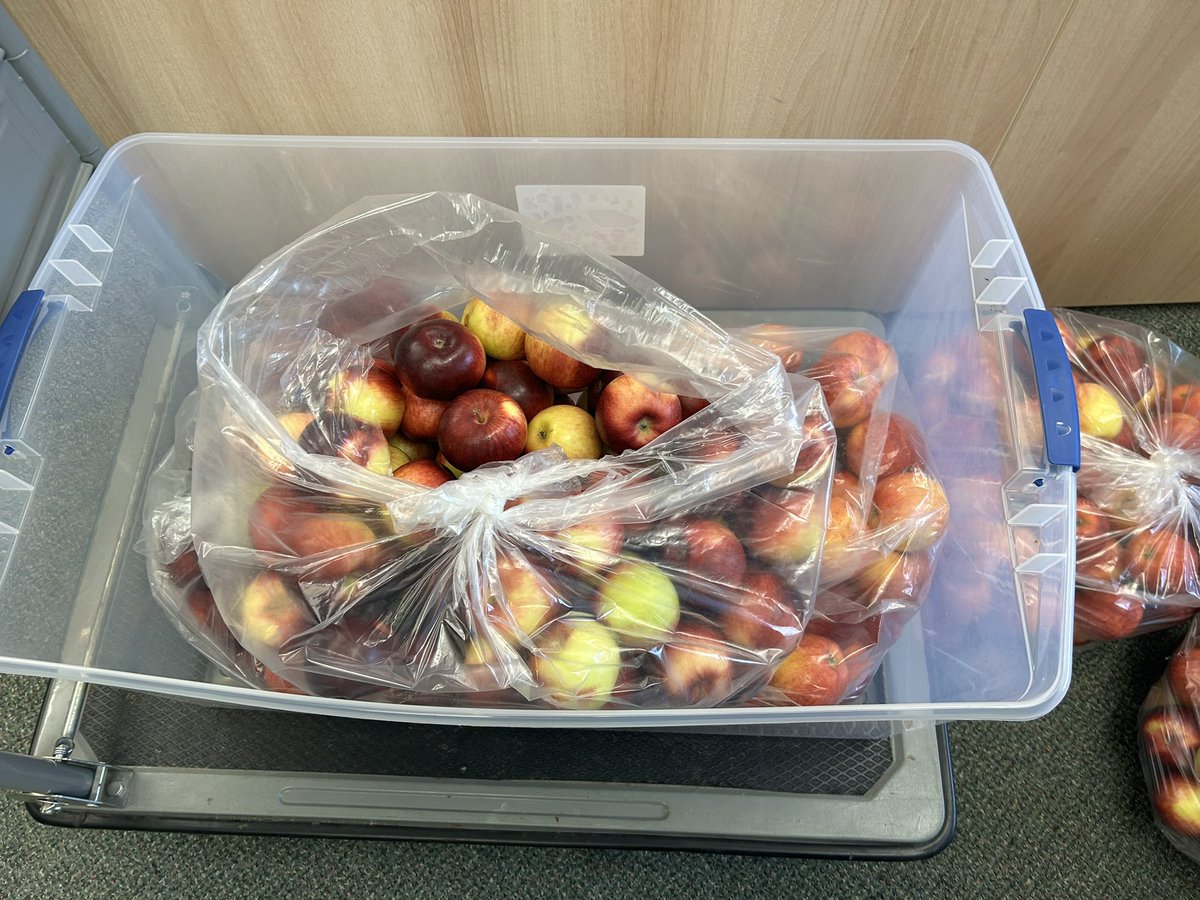 AHarrisonSCDSB's tweet image. Wow! This is definitely a highlight of my first week as VP @CMESWolfPack  Friday is 🍎 Day thanks to @michaelgiffen Ss were so polite and respectful and so happy as I visited every classroom to offer apples to everyone.