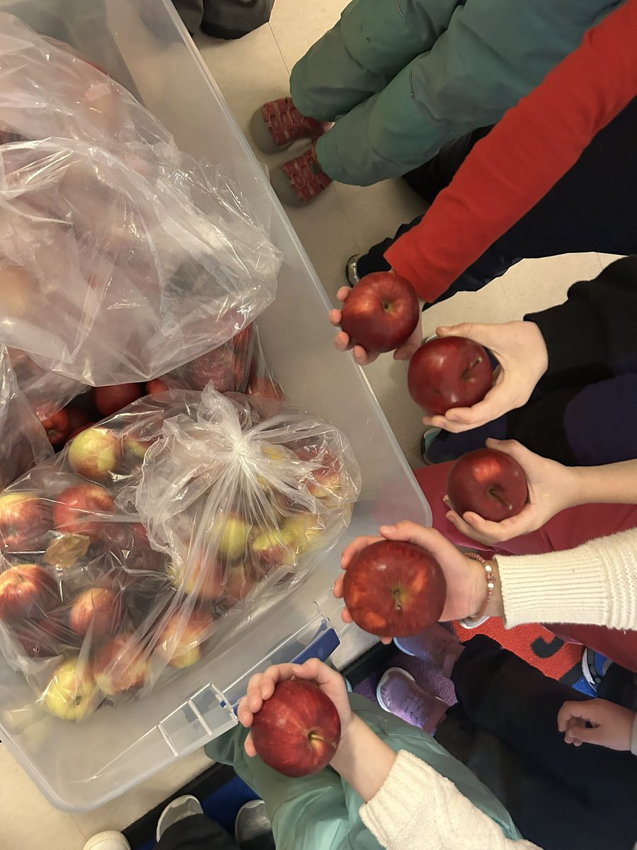 AHarrisonSCDSB's tweet image. Wow! This is definitely a highlight of my first week as VP @CMESWolfPack  Friday is 🍎 Day thanks to @michaelgiffen Ss were so polite and respectful and so happy as I visited every classroom to offer apples to everyone.