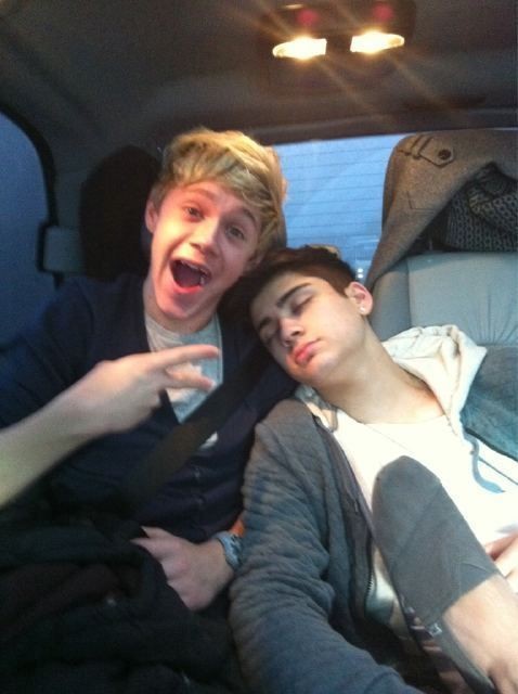 Niall_mdef's tweet photo. eu sei que tô atrasado, completamente, e peço perdão mas eu não poderia de deixar aqui os meus parabéns pro meu gatão. Que na primeira oportunidade que tem tá ameaçando meu pato, mas eu juro que ele tem um coração enorme, um coração tão bondoso e aconchegante de viver. https://t.co/MhPwhqmjm1