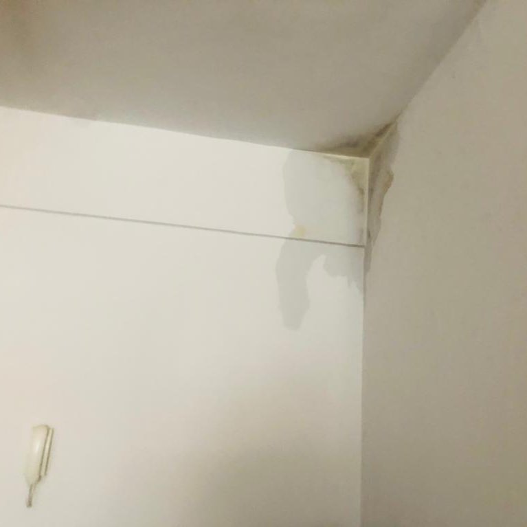 choquei's tweet photo. 🚨GRAVE: Mulher registra infiltração no teto de casa e imagem formada pela água chama atenção. https://t.co/QRScUcxj42