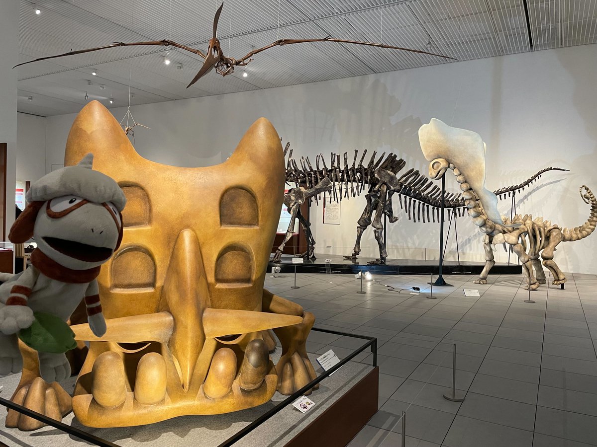 大分県立美術館 にて #ポケモン化石博物館 を開催中！ ポケモン化石