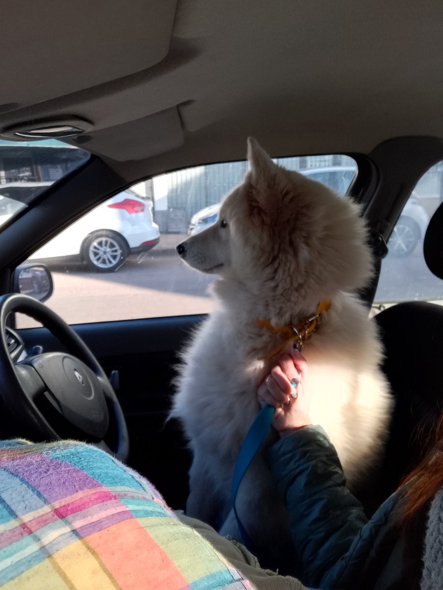 BochitaBolina tweet media