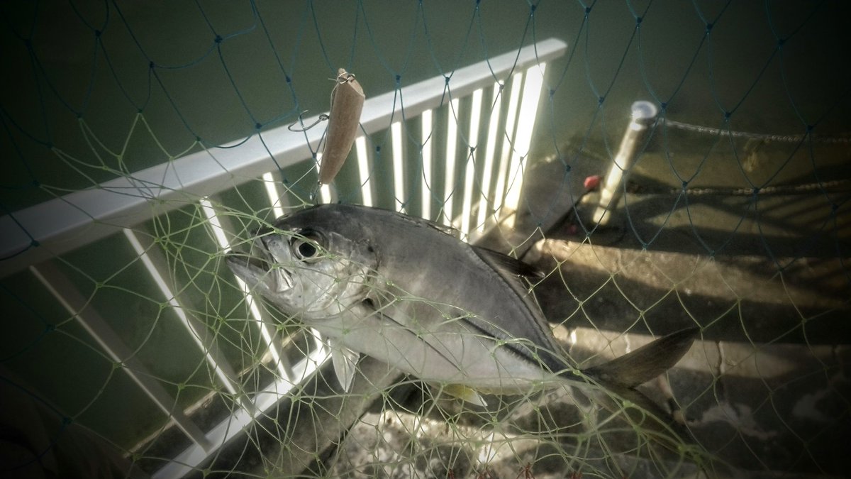 clayz45166539's tweet photo. リップレスミノーのスイムチェックしていたら初魚釣れちゃった(ノ ˘͈ ᗜ˘͈)ノᵕ。ᵕ)╮毎度アリガタシ~♬.*゚
#クレイズ
#clayz
#フローティングミノー
#floatingminnow
#ハンドメイドルアー
#handmadelure
#沖縄
#okinawa https://t.co/4Vvos3Q091