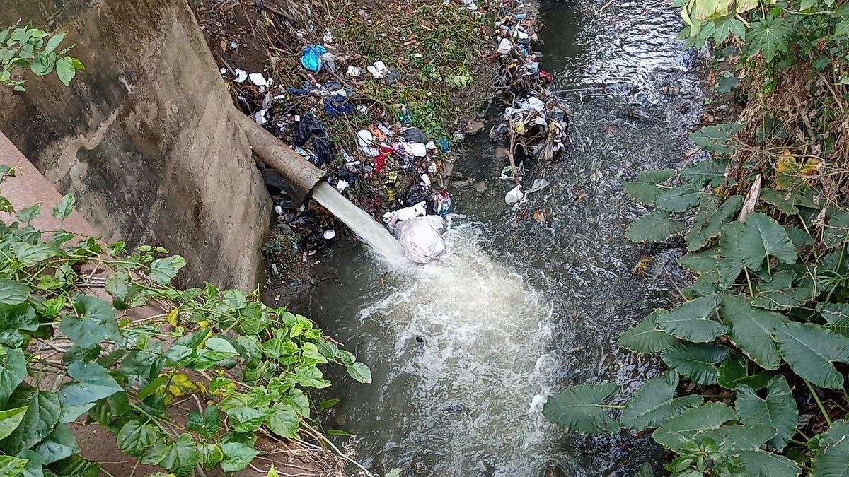 lavozdelyaque's tweet photo. EL PUENTE DE PASTOR BELLA VISTA, SANTIAGO 🇩🇴
En esa condiciones vemos esté lugar 🤕 con basura hasta el tope y una cloaca que entra directamente 🤢🤮 aquí entra en juego la siguiente palabras: 
"cuanto más conozco a los hombres más quiero a mi perro". (Lord Byron) 👋
#pastor https://t.co/cw0TuBBm00