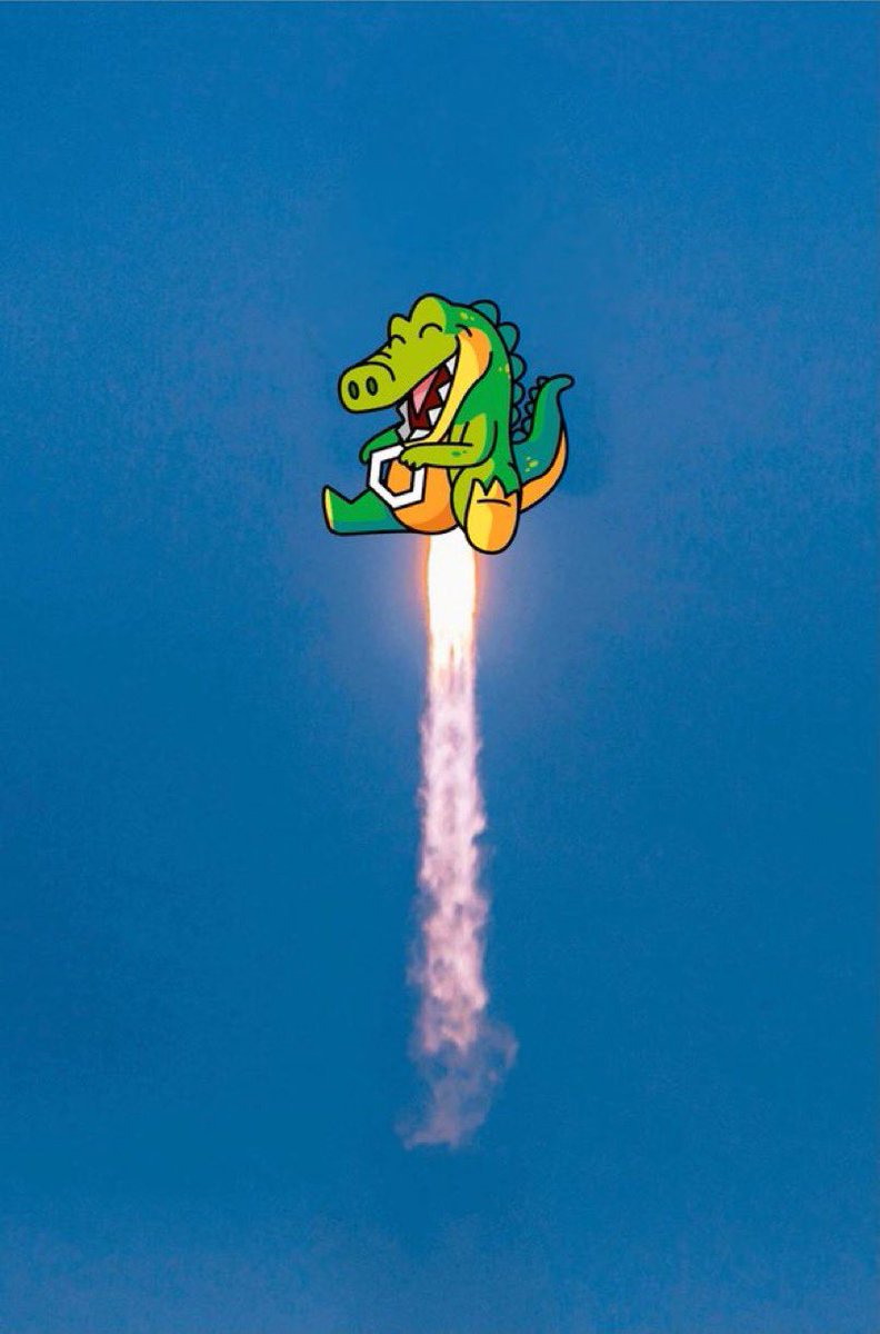 Odin99U's tweet photo. @kris Croge is ready 🚀🚀
#crofam #croge https://t.co/Mkz2yx0M0I