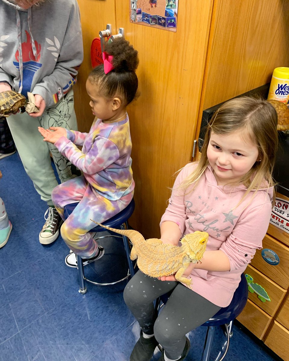 Mrs Geist tweet media