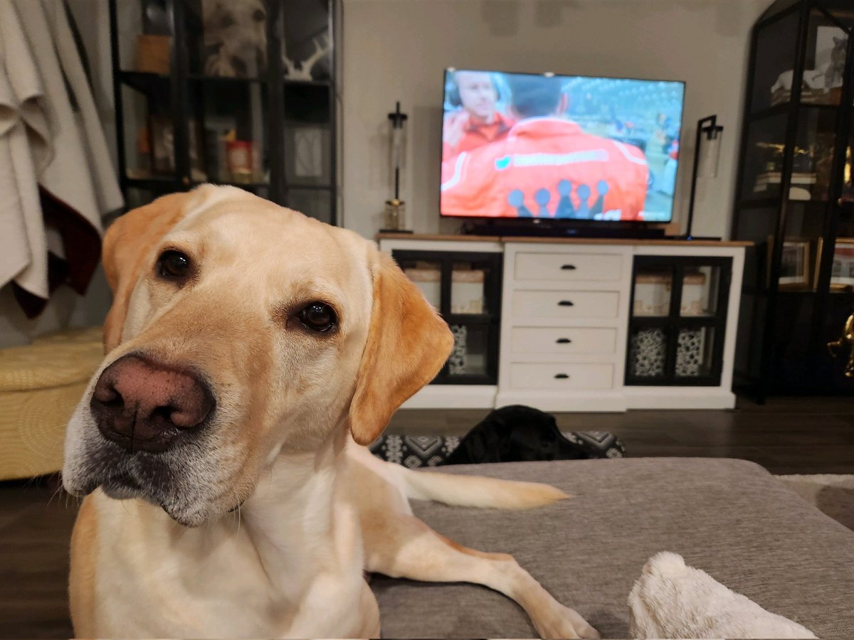 Bob Ream Jr. tweet media