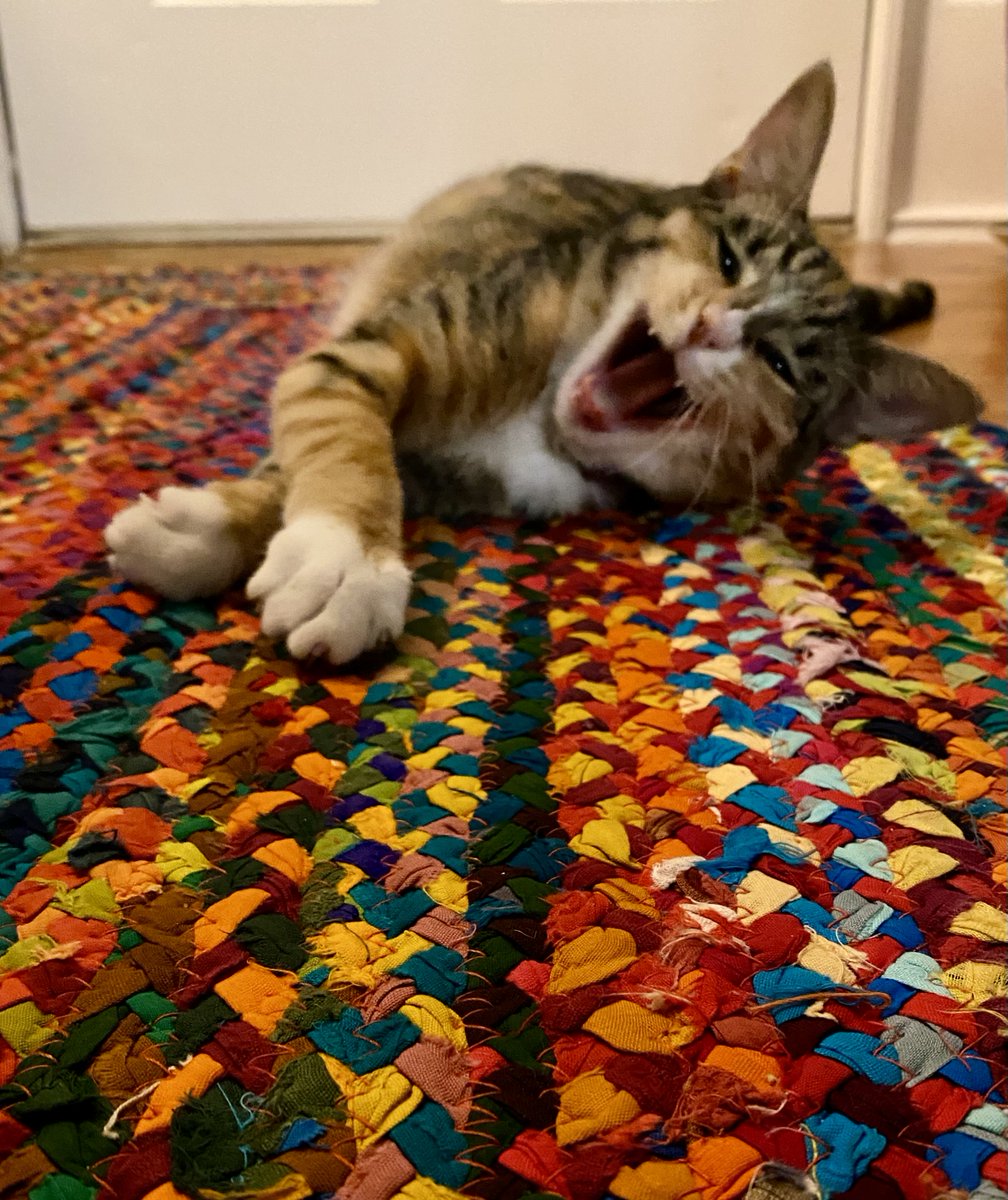 📚 Jorjeana Marie 📚 tweet media