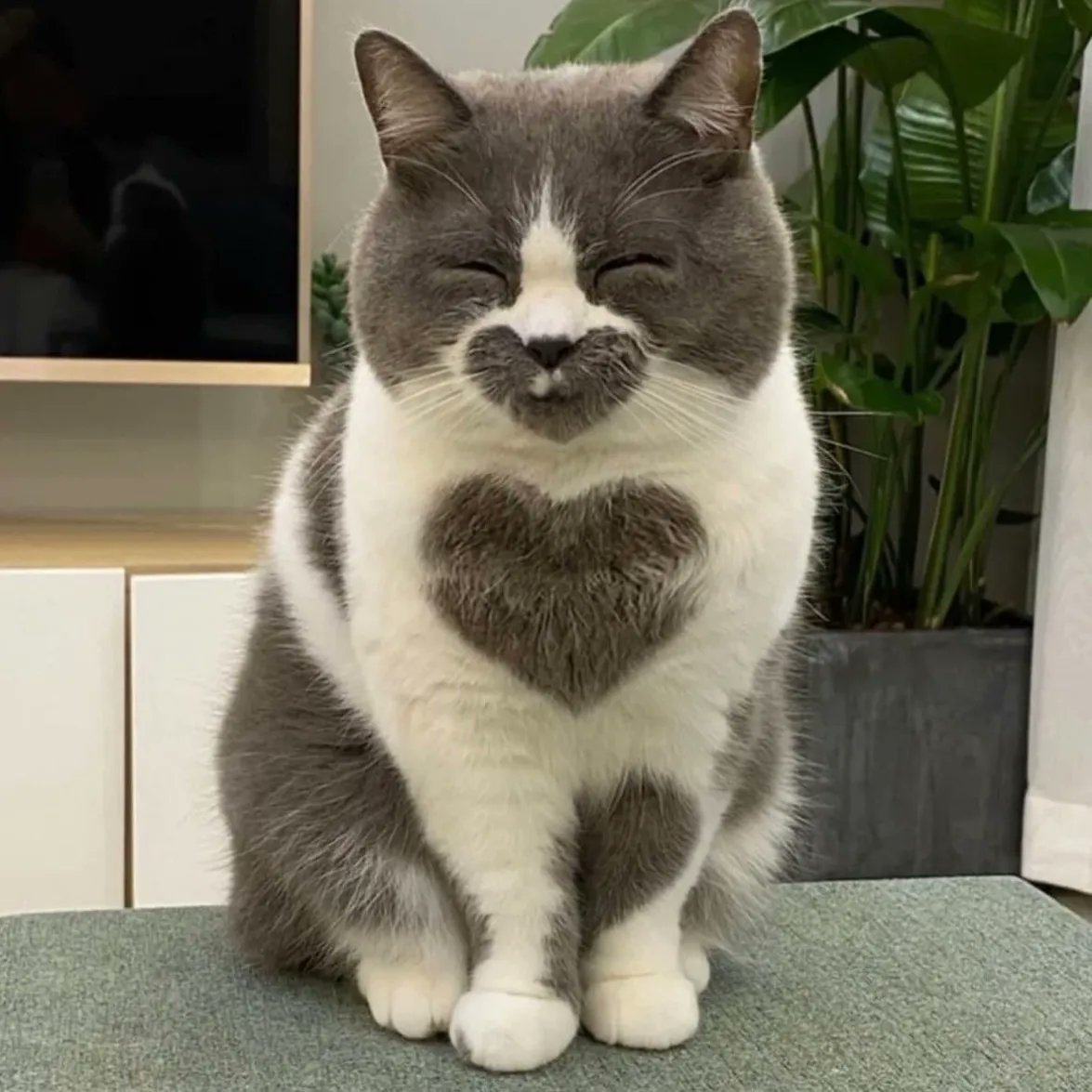 There is love and beauty everywhere, we just need to look for it.