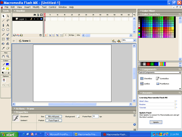 Macromedia Flash MX (2002)