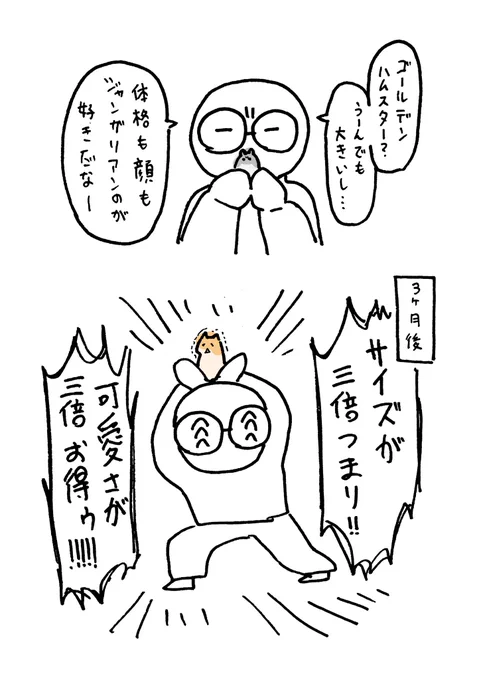 ゴールデンハムスターの
即落ち二コマ漫画です 