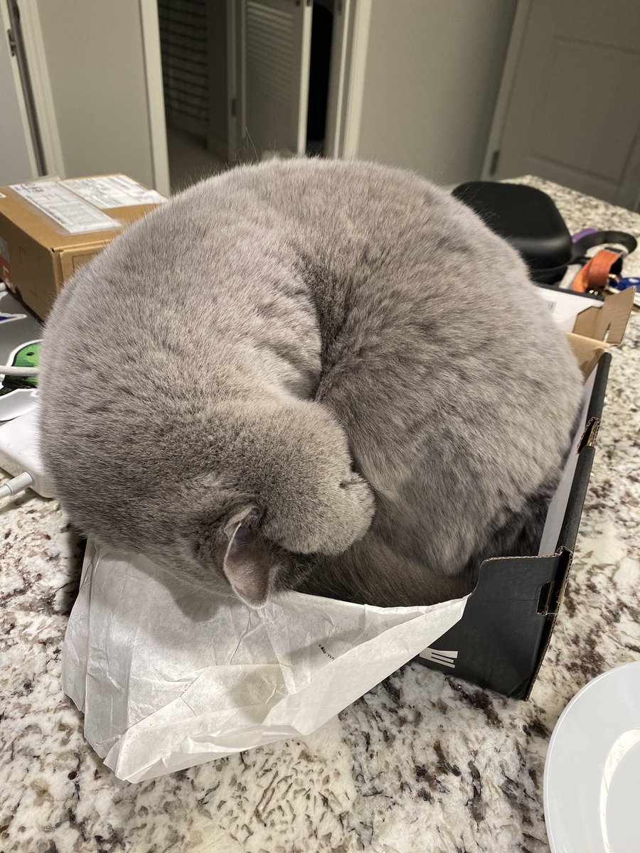 babysoapsud's tweet image. chubbdate (chubb update)