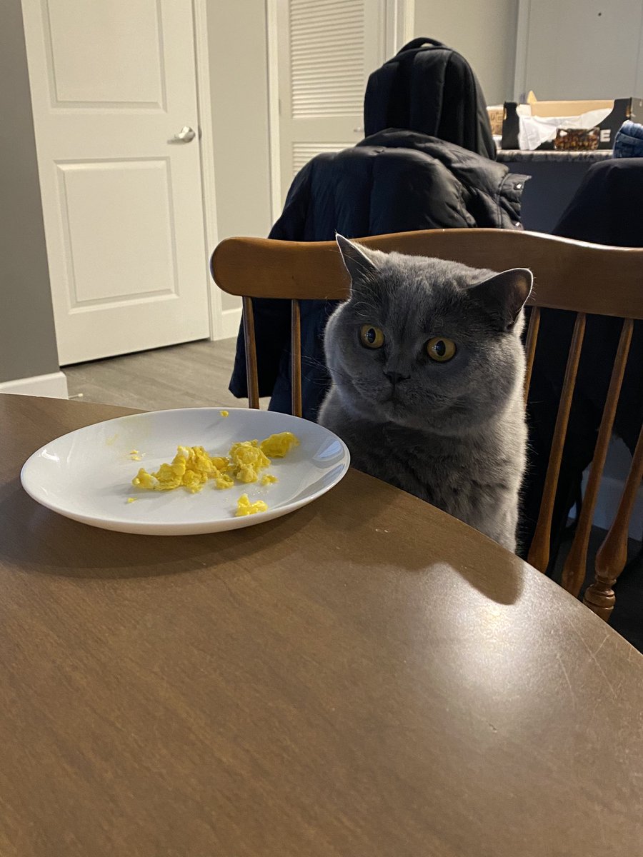 babysoapsud's tweet image. chubbdate (chubb update)