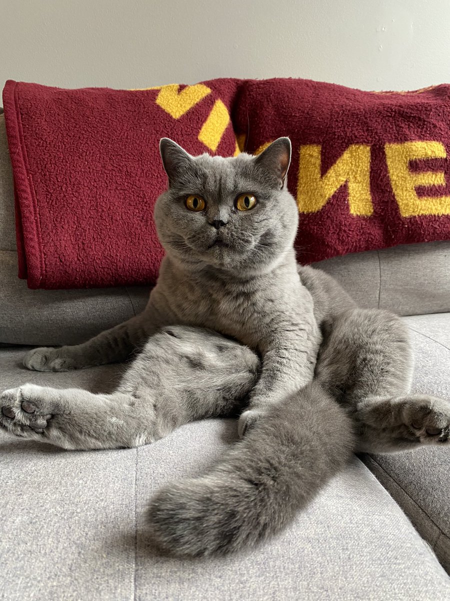 babysoapsud's tweet image. chubbdate (chubb update)