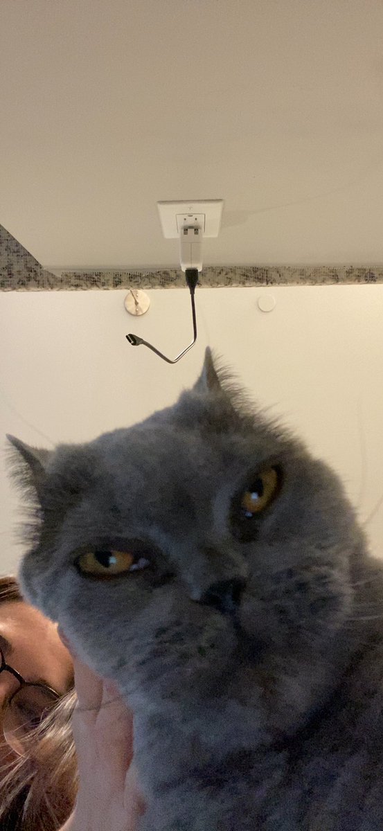 babysoapsud's tweet image. chubbdate (chubb update)